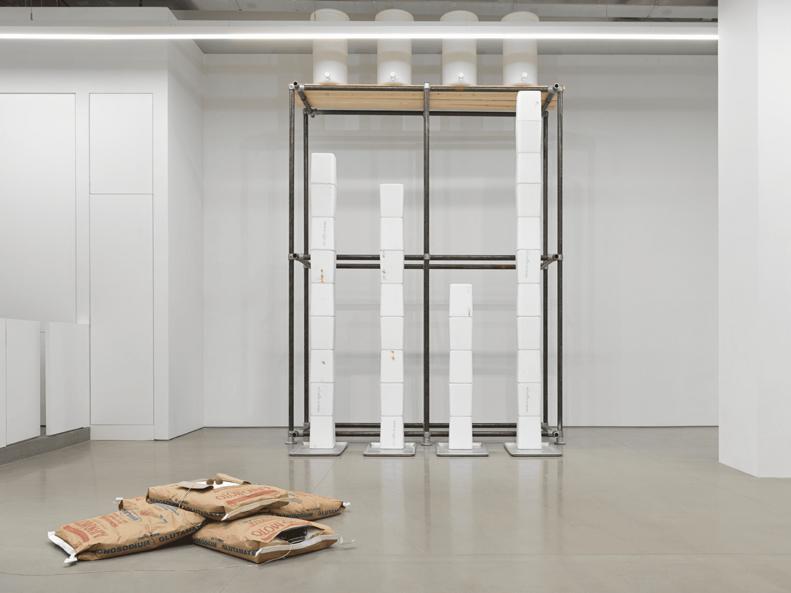 Michael Joo: Sweat Models 1991-2026