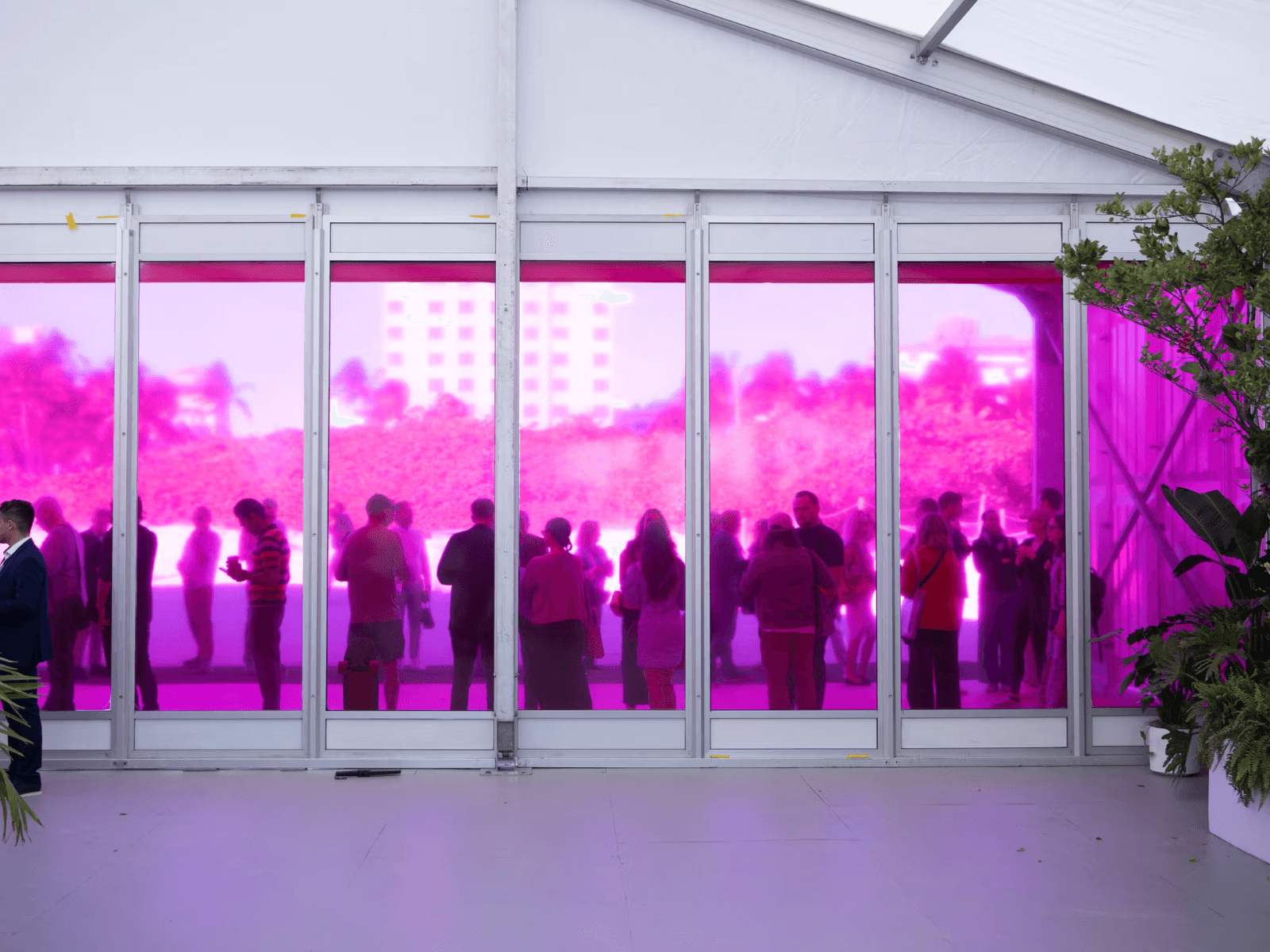 Installation view