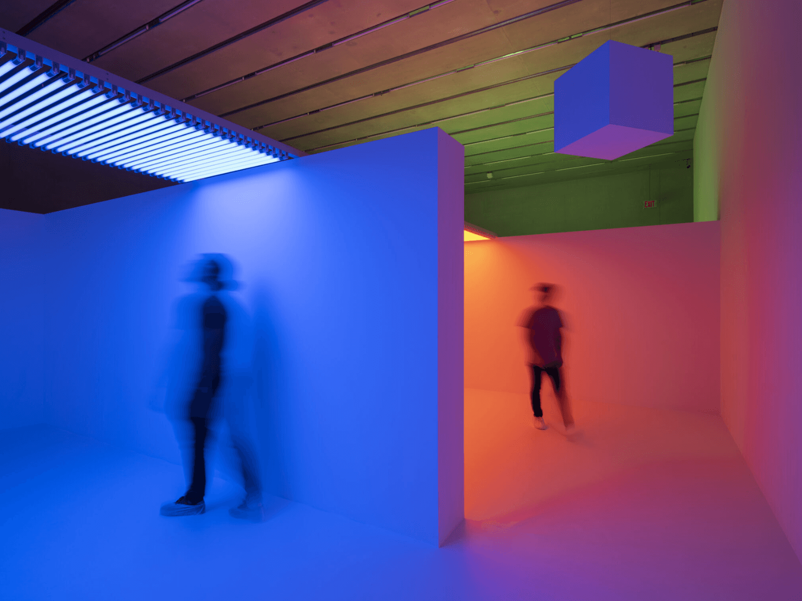 Installation view