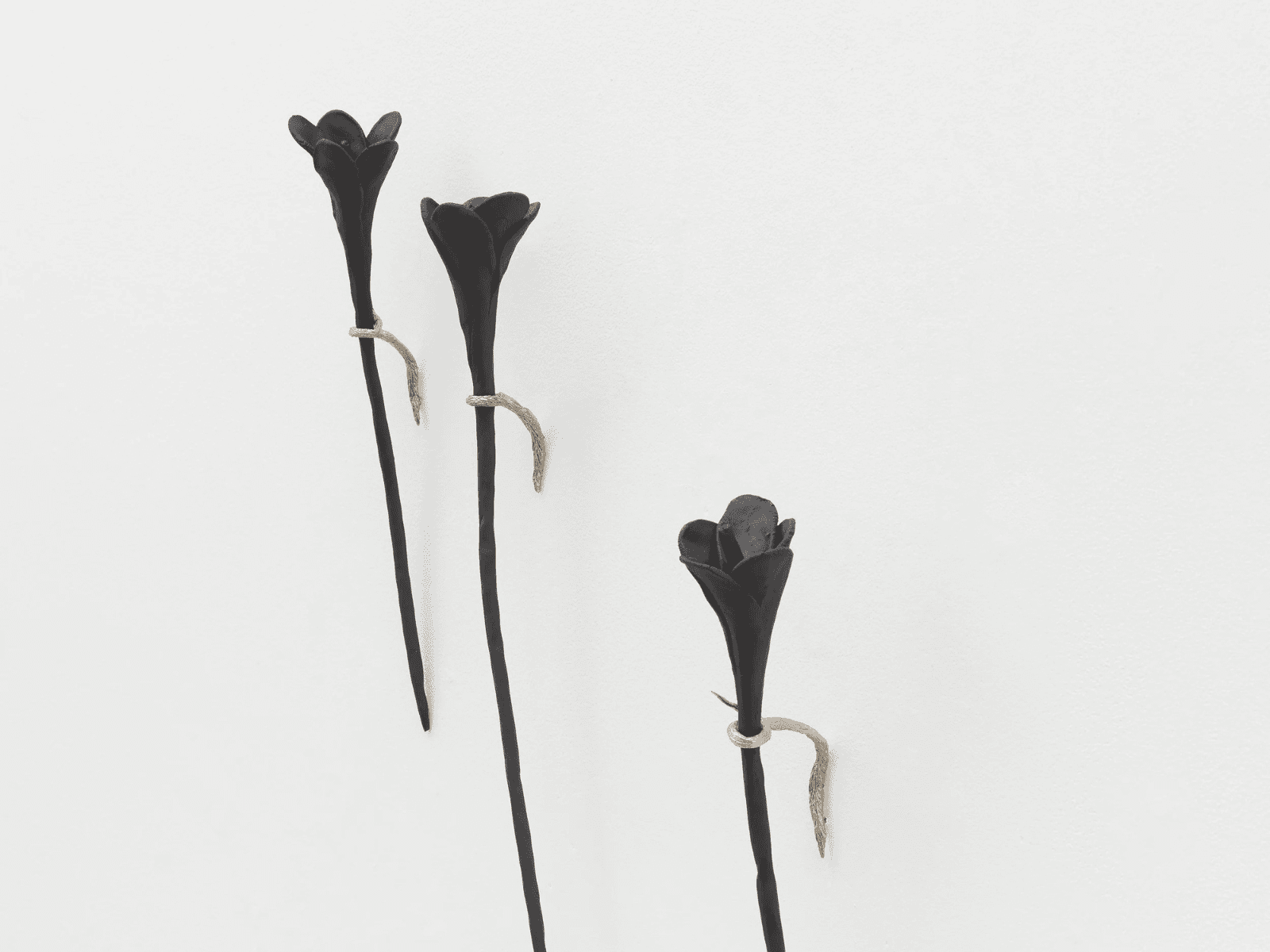 Elizabeth Jaeger  : What Was Left of Me Bloomed 