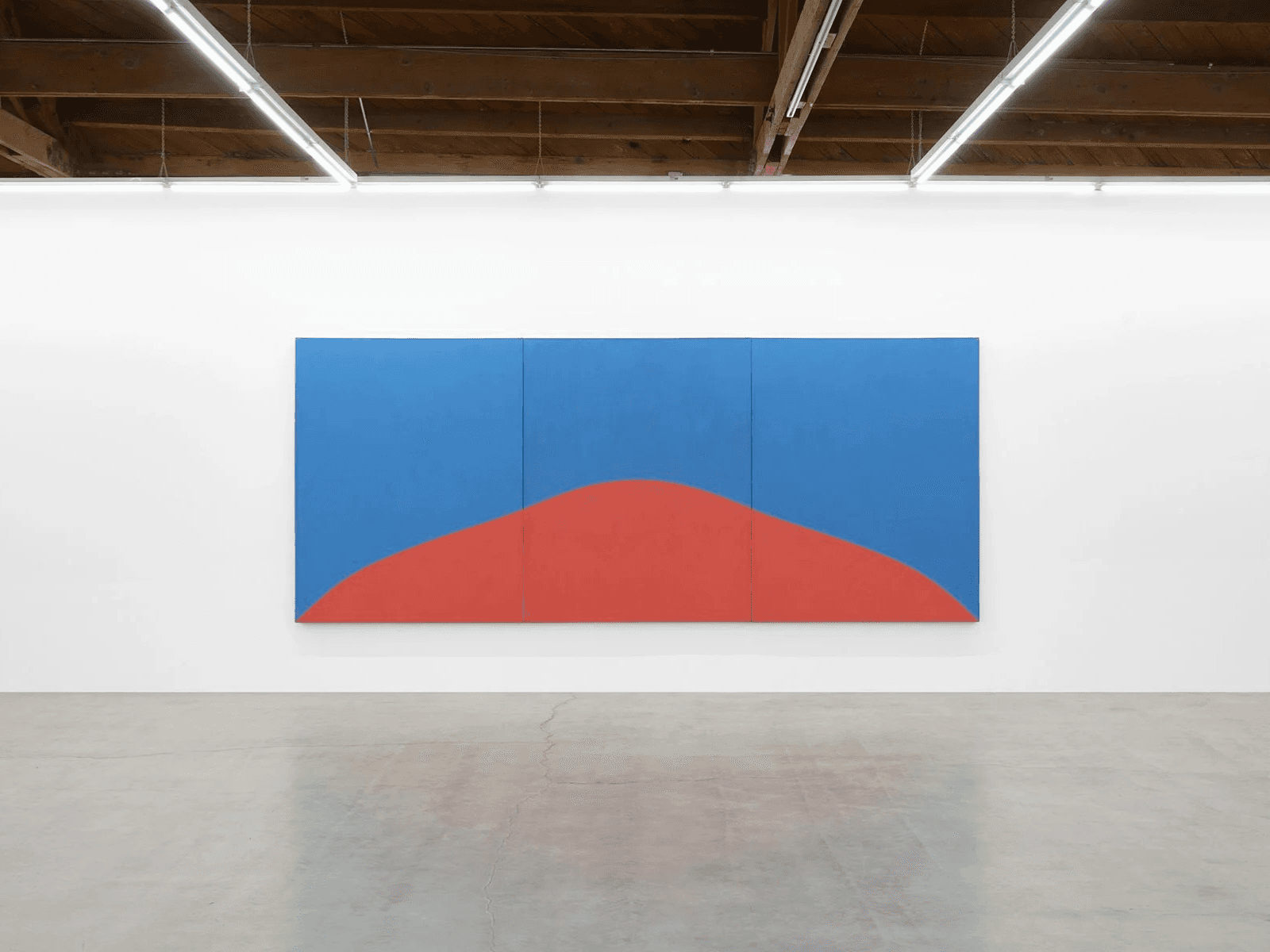 Marcia Hafif: Experience of Being