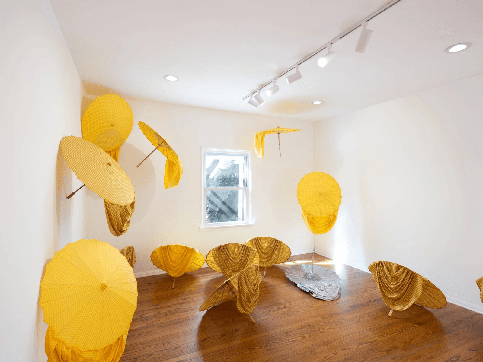 Zenobia Lee: Démesuré