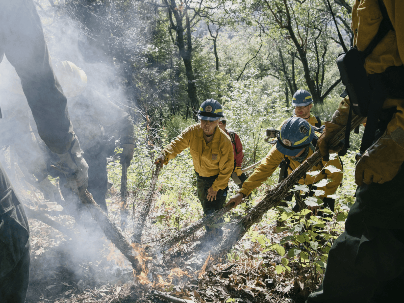 Good Fire: Tending Native Lands