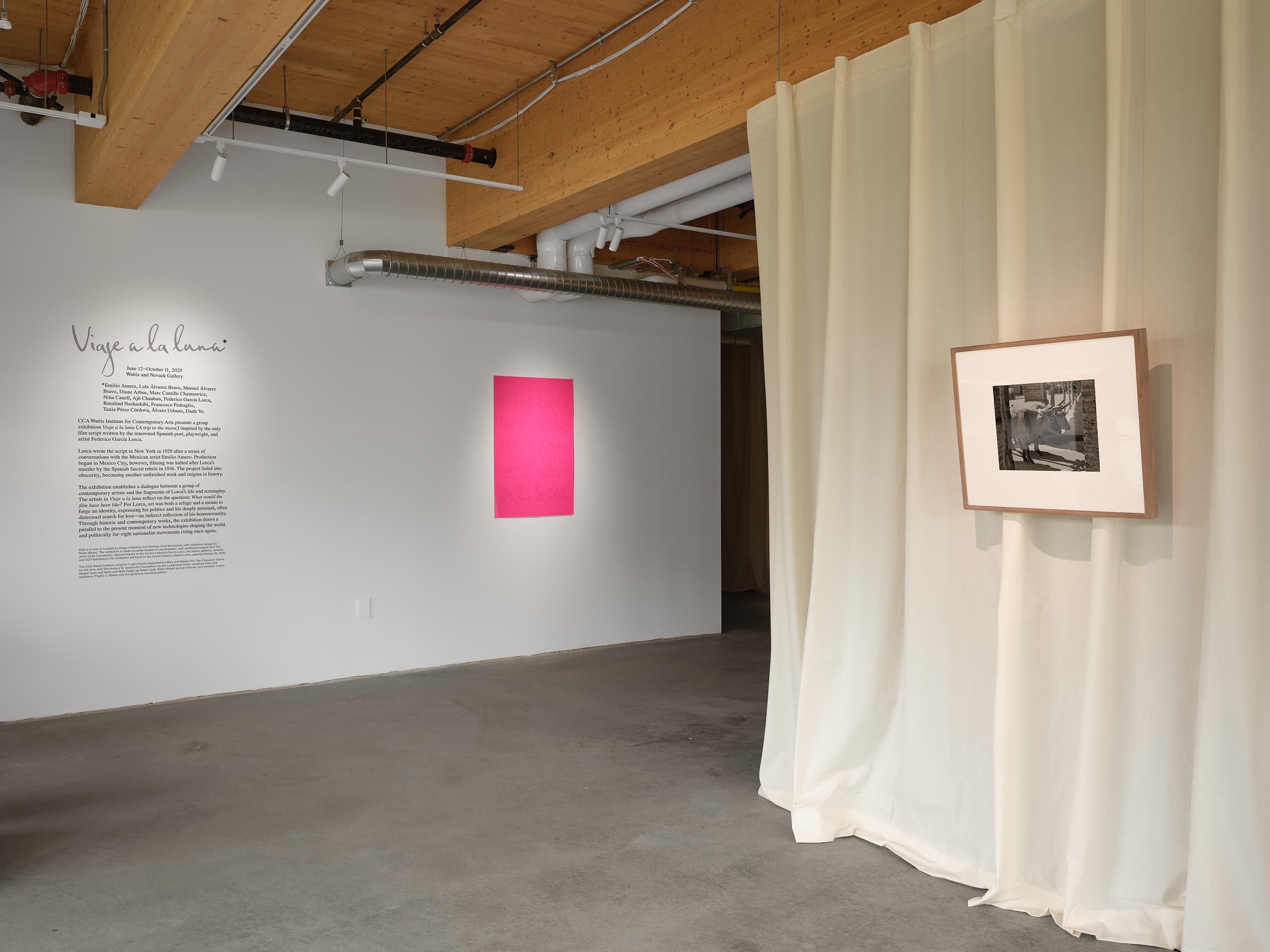 Installation view