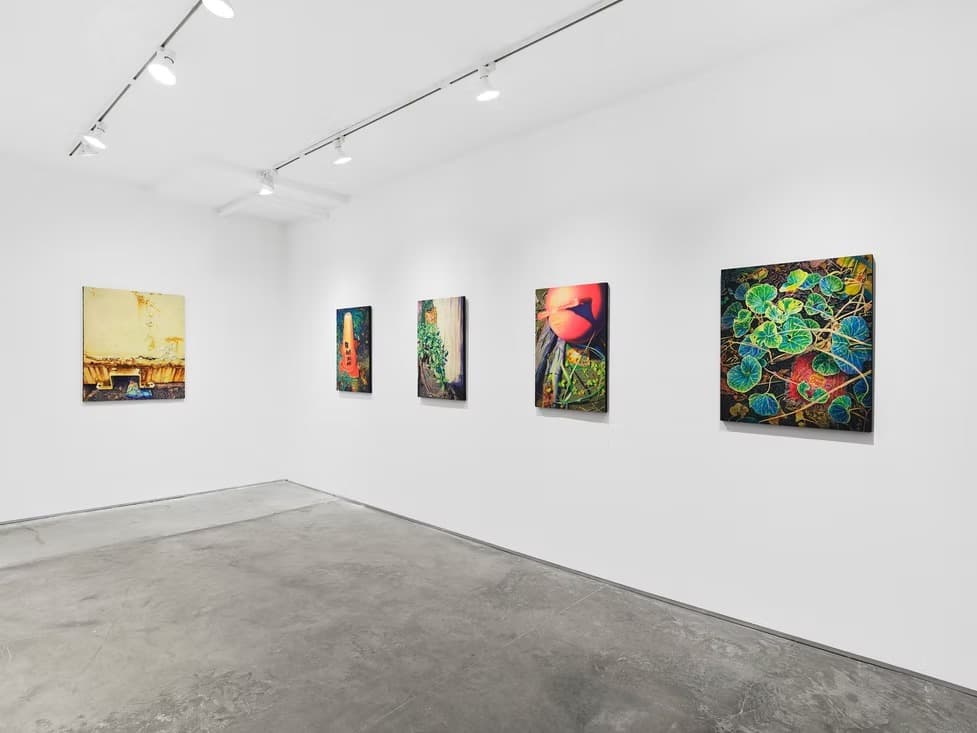 Installation view