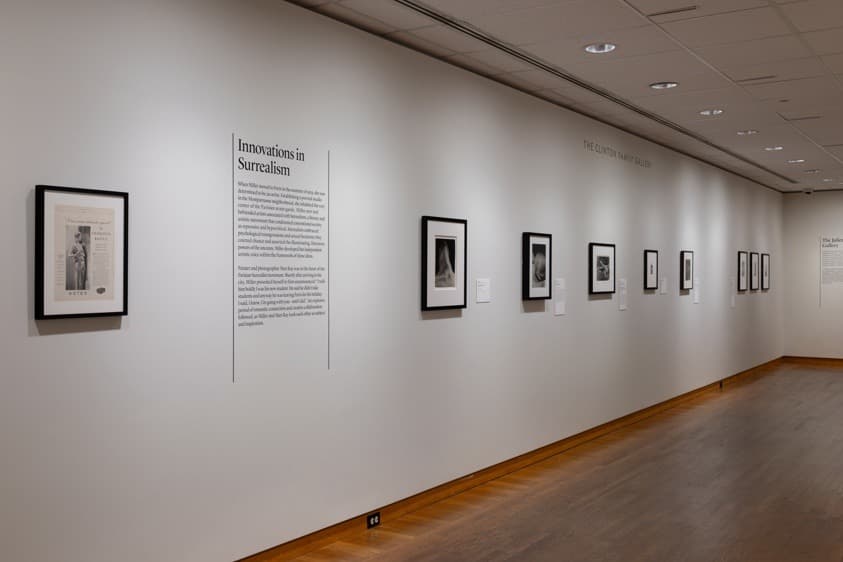 Installation view 3 of 8