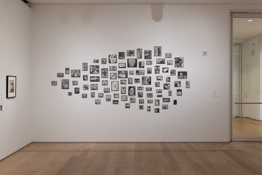 Installation view 4 of 5