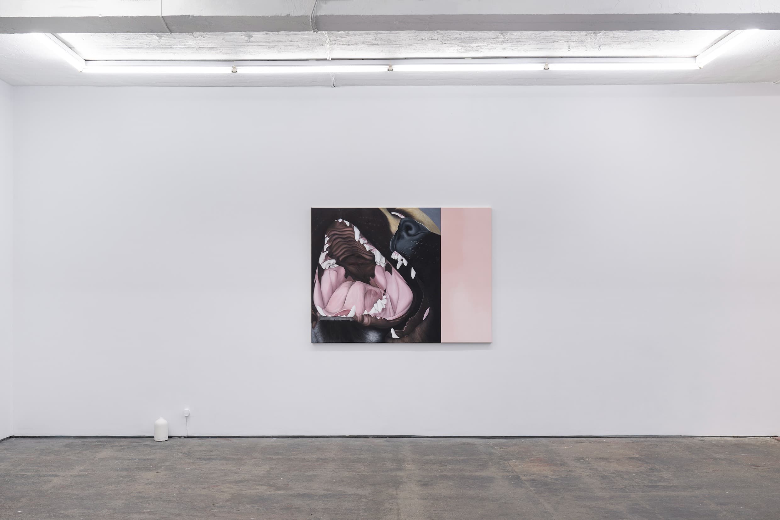 Installation view