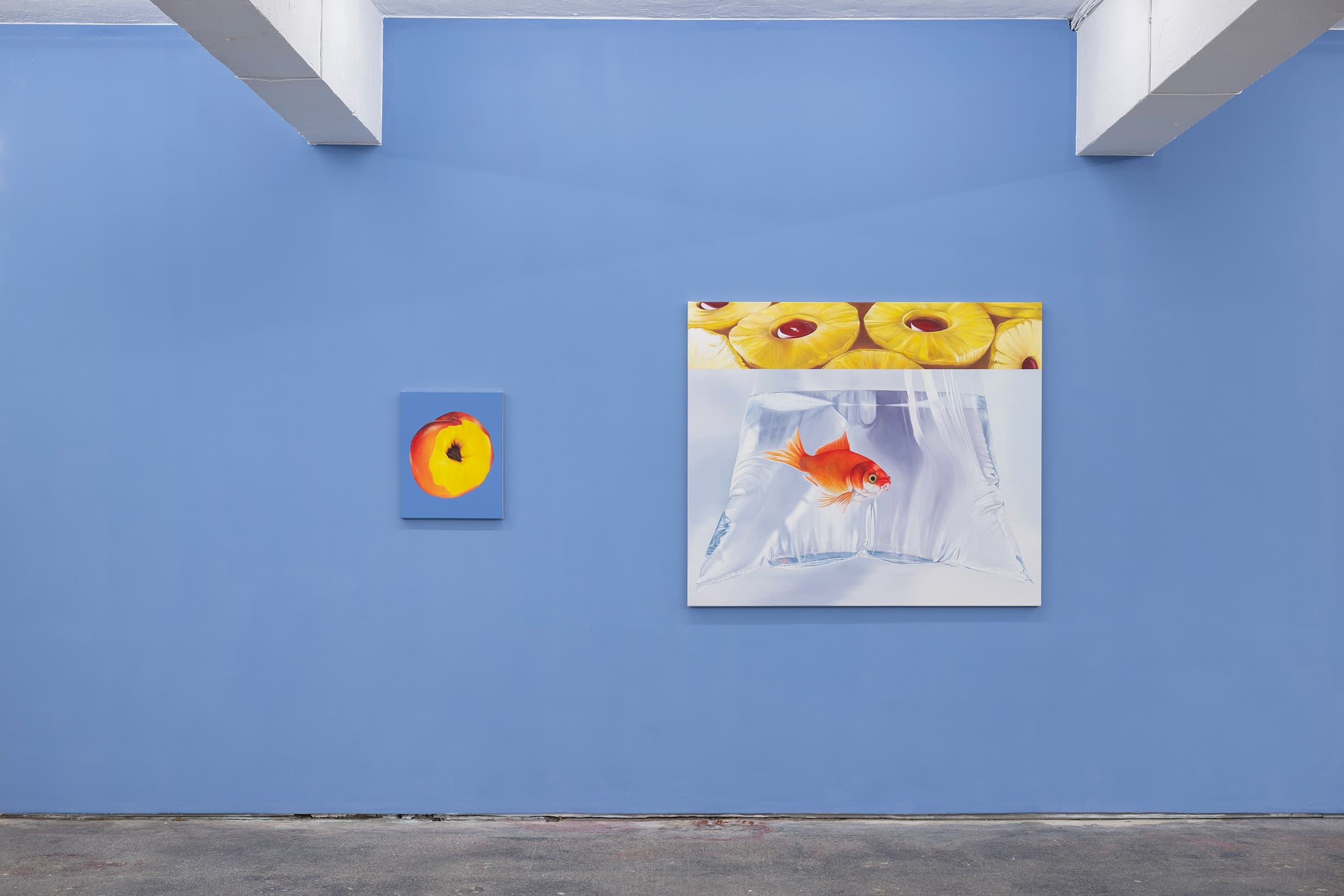Installation view
