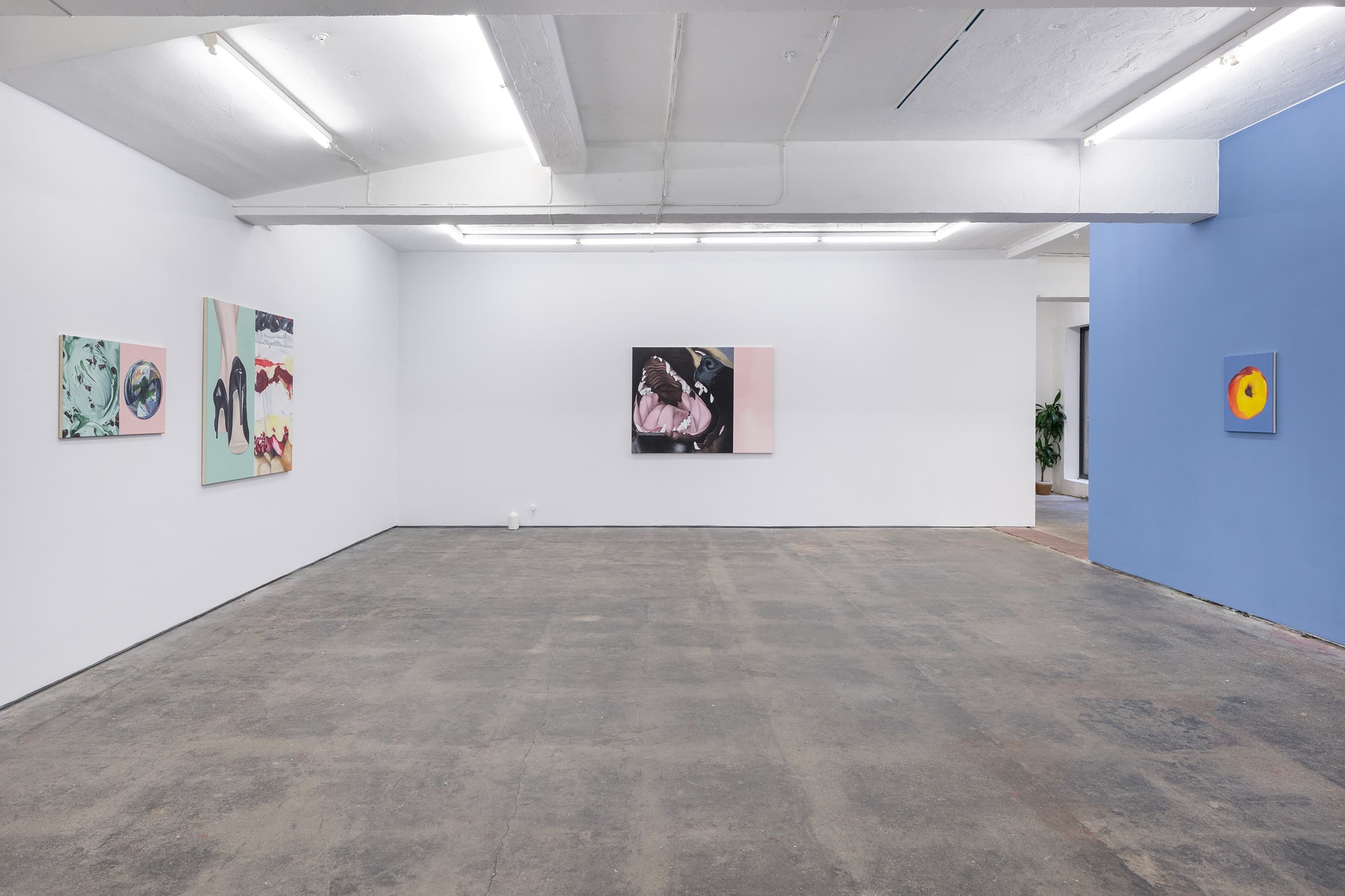 Installation view