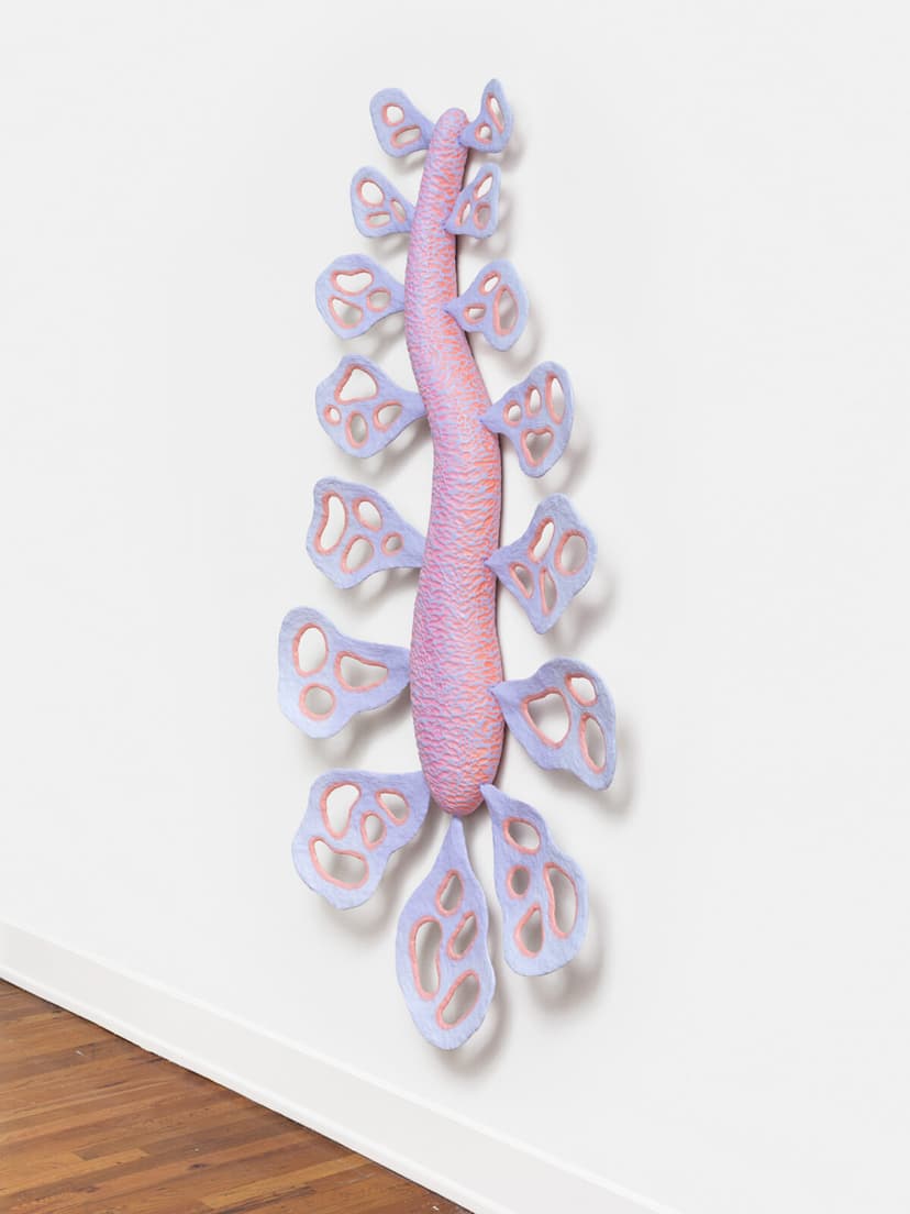 Installation view, Sarah Ippolito: Growing by Living Together, Official Welcome, Los Angeles, 2026