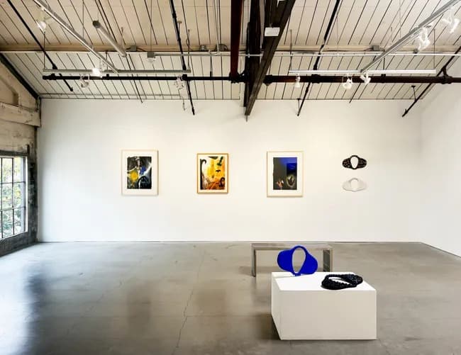 Installation view 5 of 5