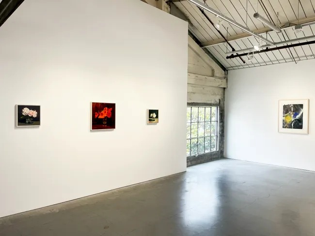 Installation view 3 of 5