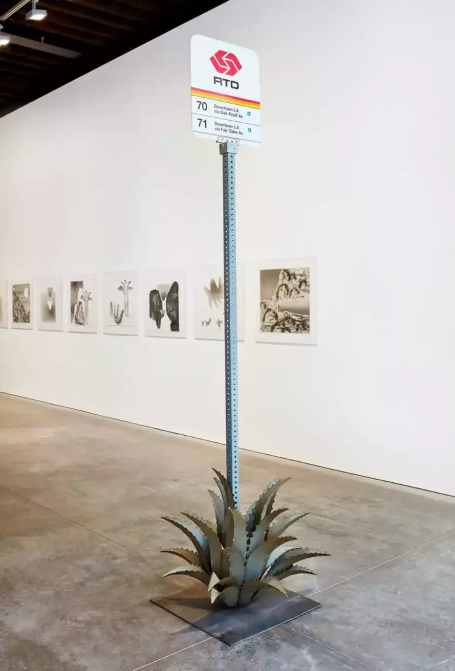 As Land Remembers