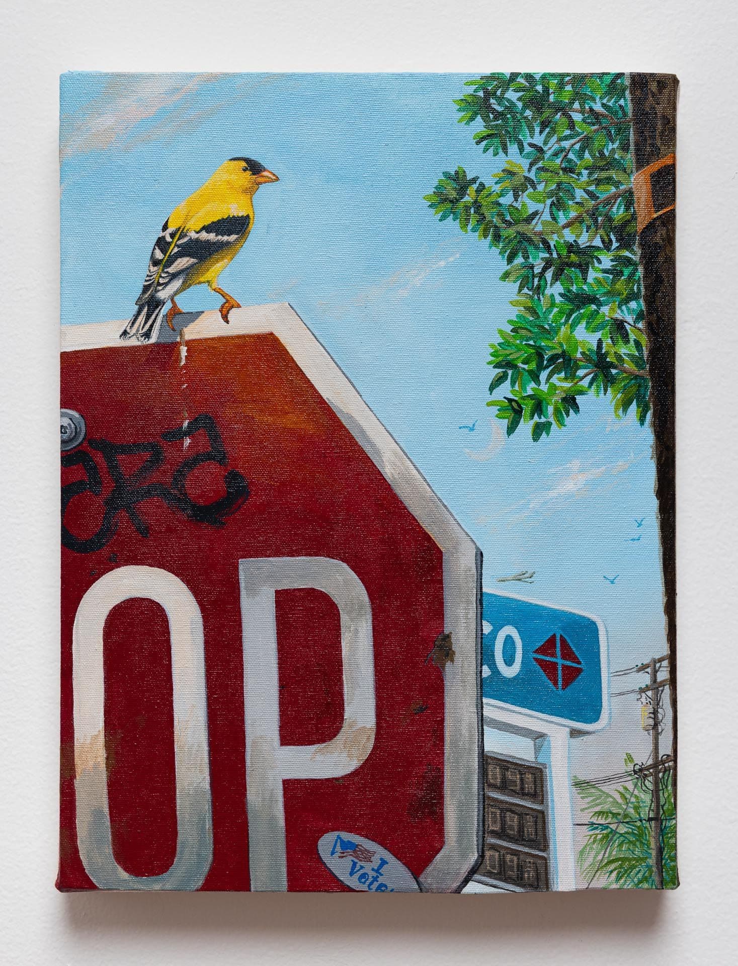 Sandow Birk