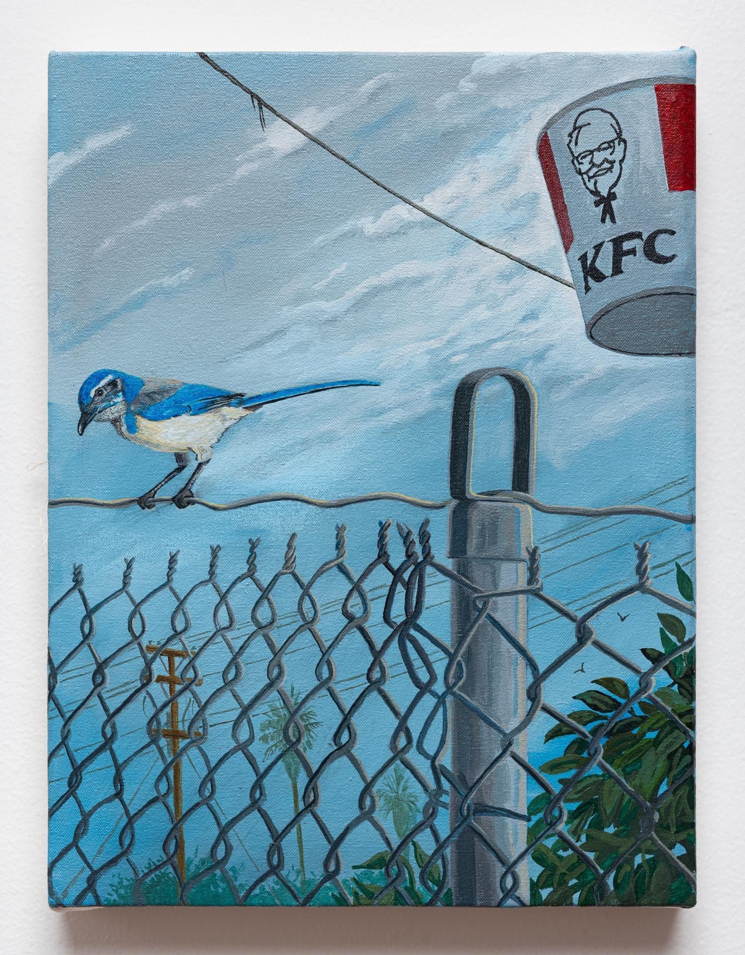 Sandow Birk