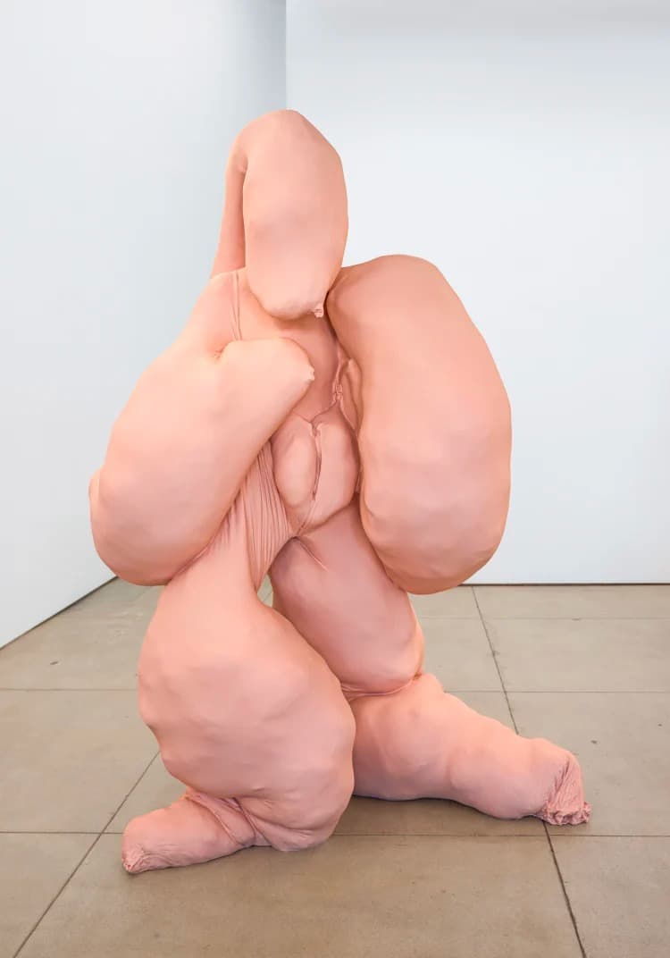 Blobs and Bod