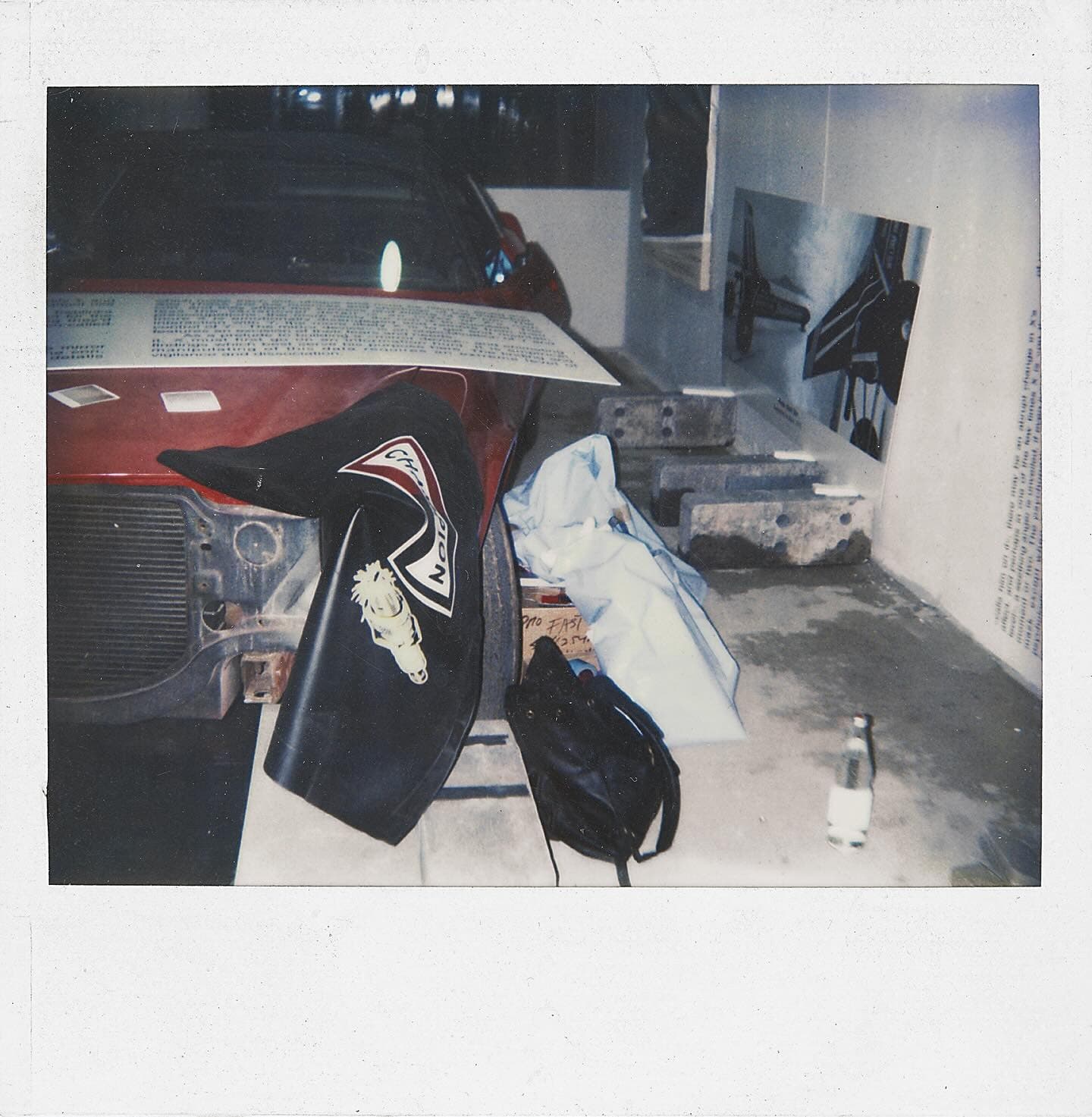 Cady Noland