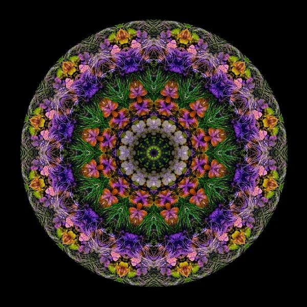 Carol Nussbaum: Florals for Spring