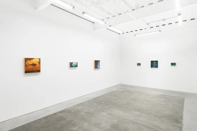 Installation view
