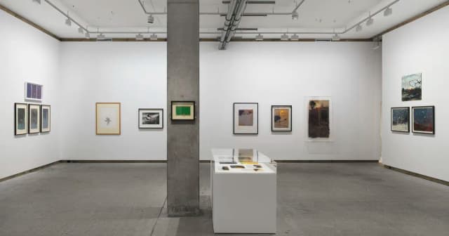 Installation view, Colin Self Unseen, Frith Street Gallery
