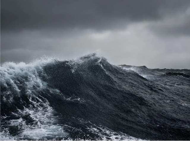 The Bering Sea