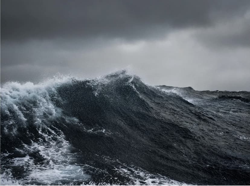The Bering Sea