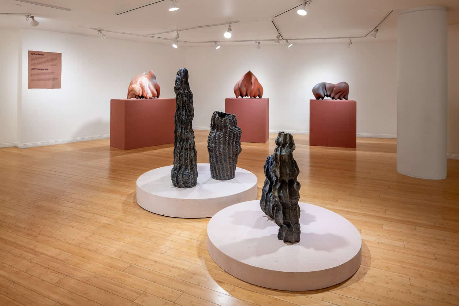 Installation view