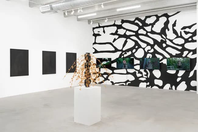 Installation view 3 of 8