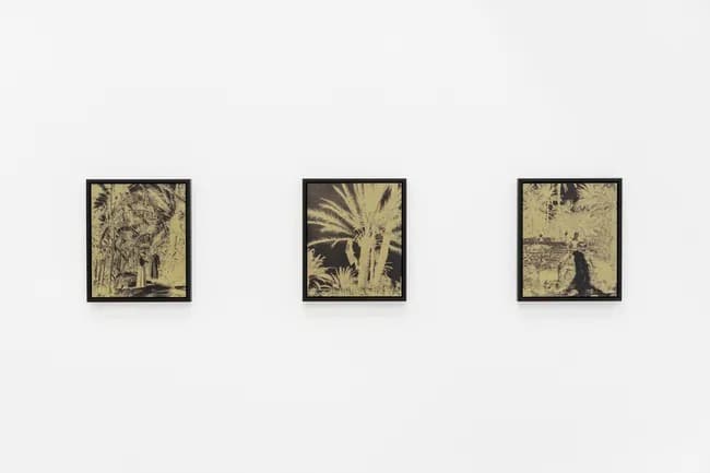 Installation view 5 of 8