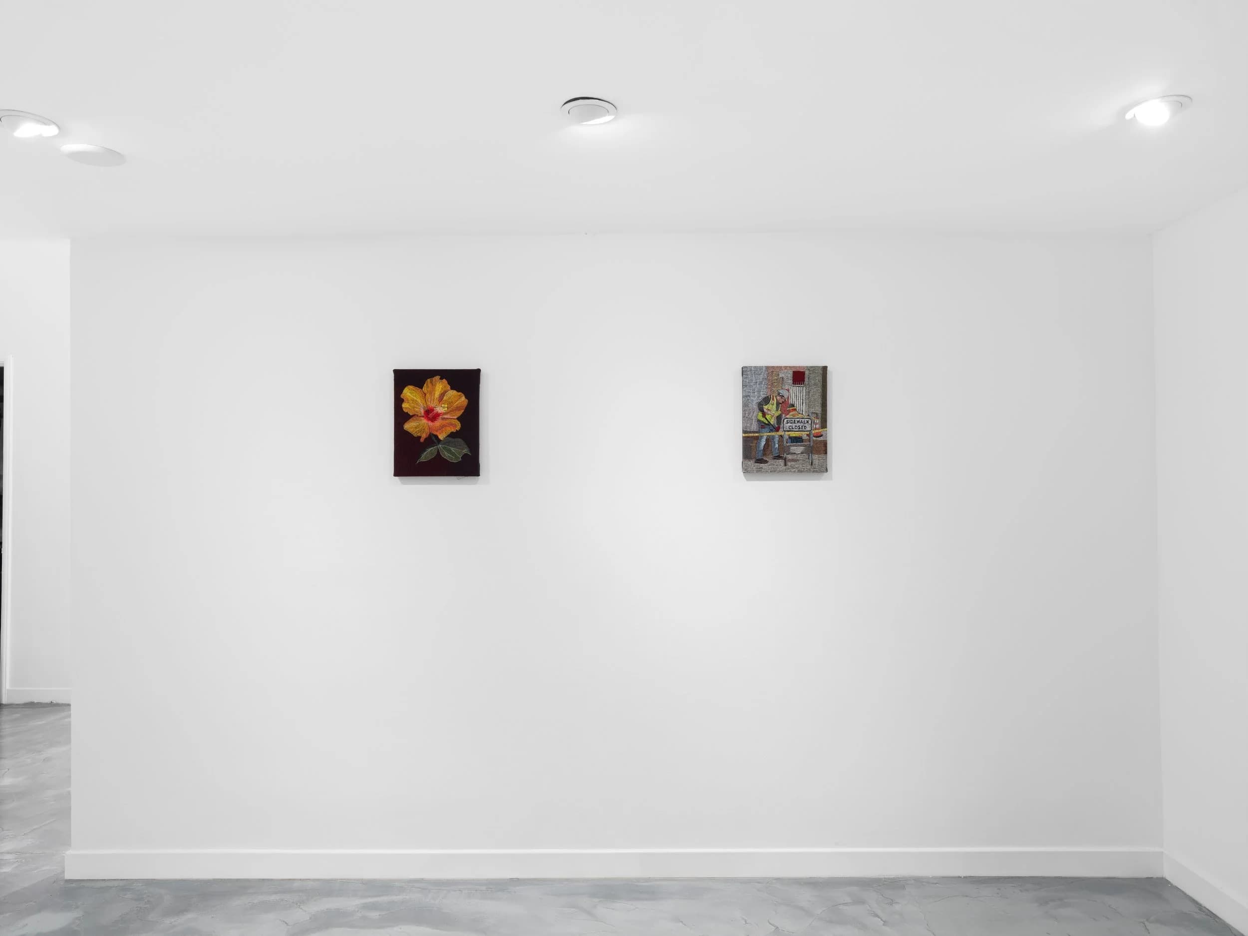 Installation view