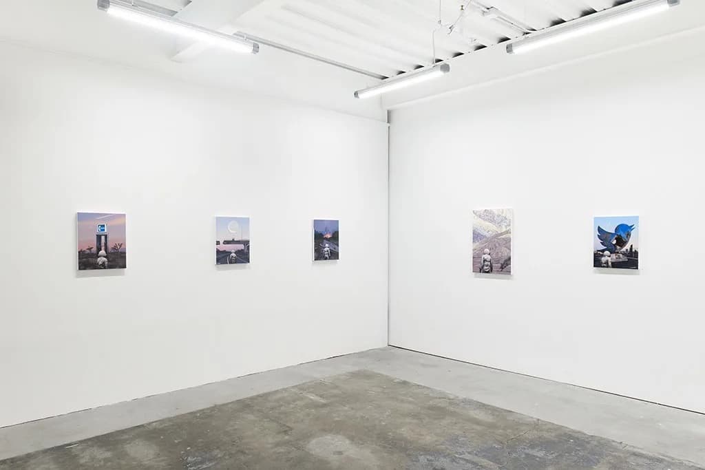 Installation view