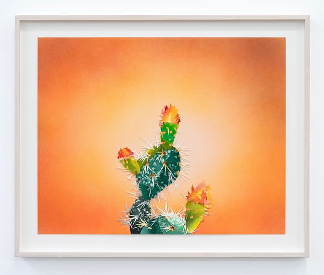 Francesca Gabbiani, Survivor (2), 2024. Courtesy the artist and Wilding Cran Gallery