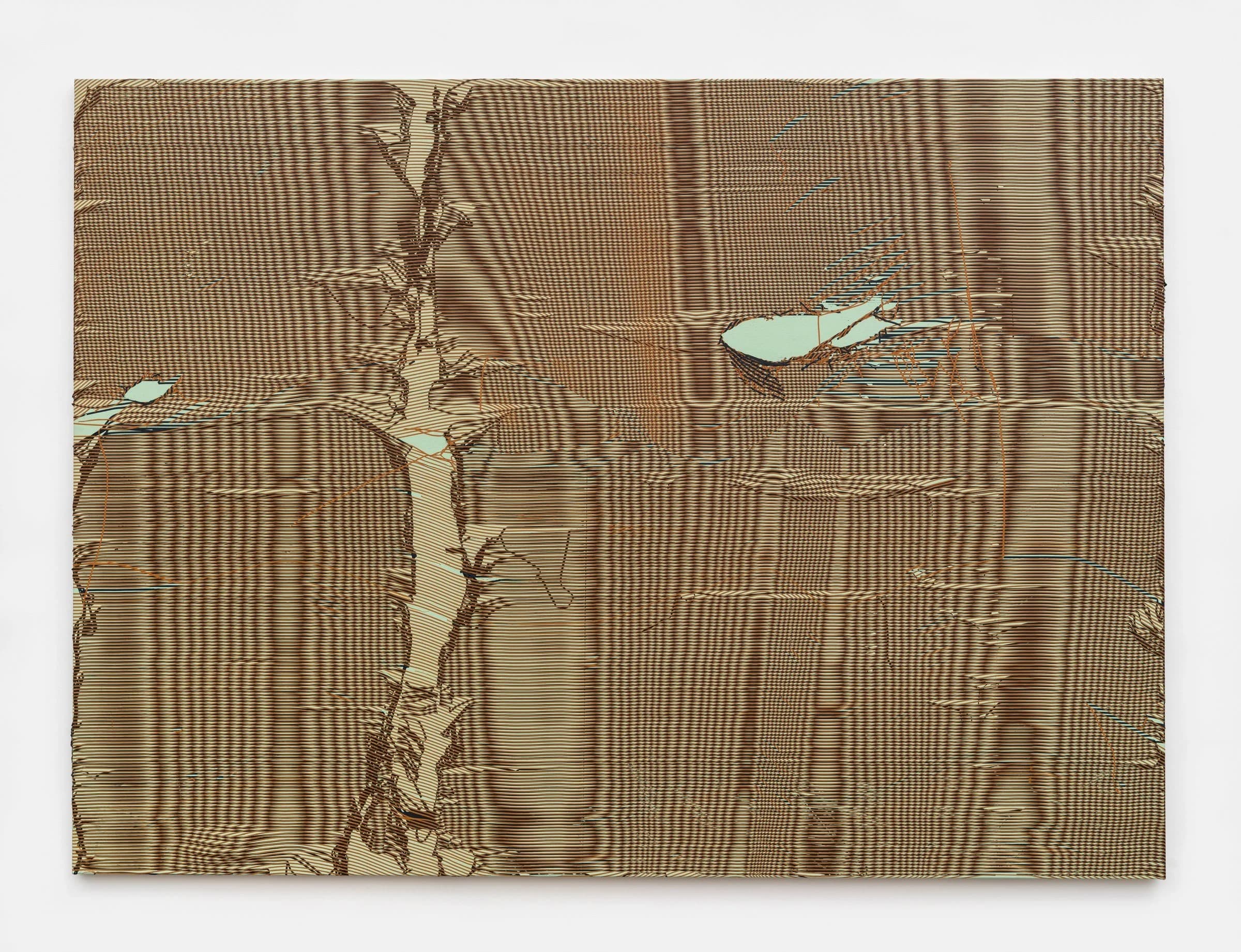 Field Recordings