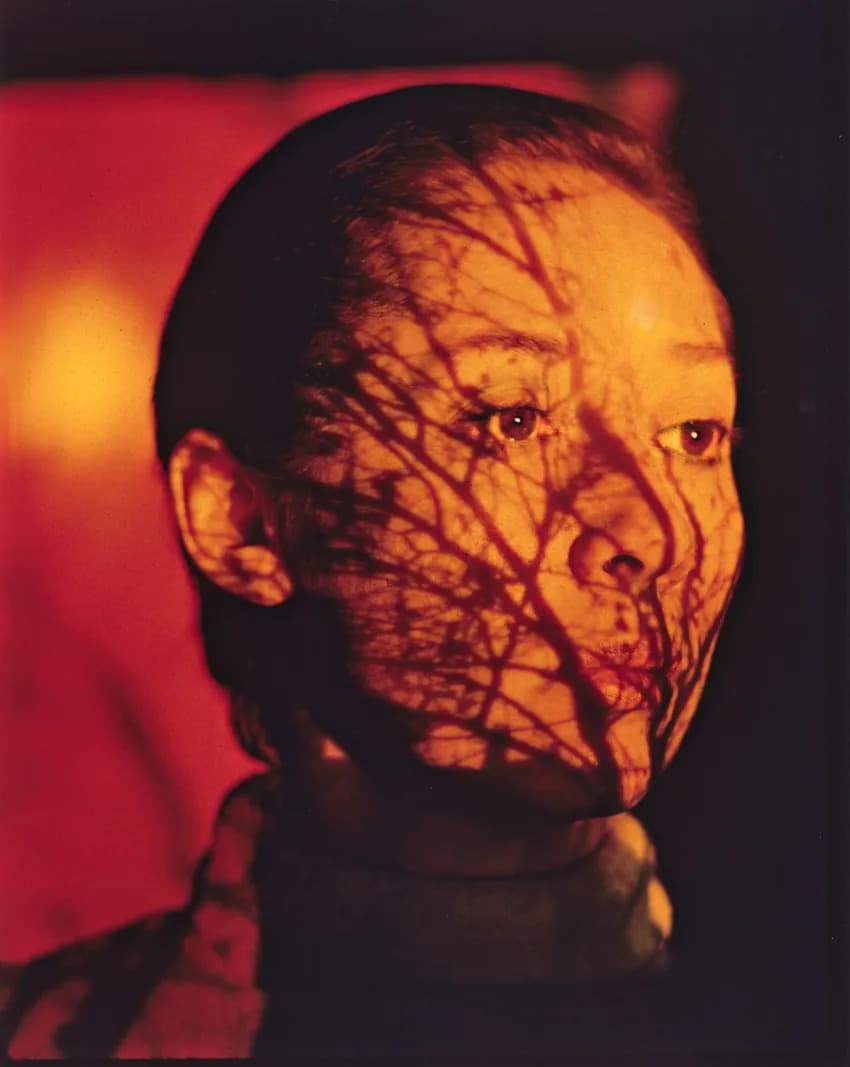 Unseen Color, 1956 - 2008