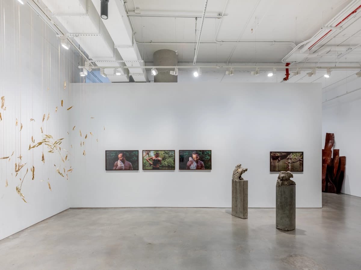 Installation view 6 of 17