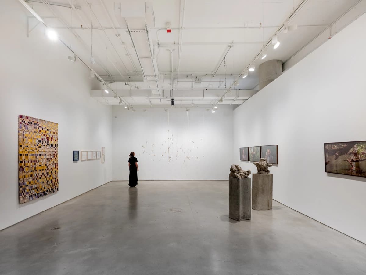 Installation view 13 of 17