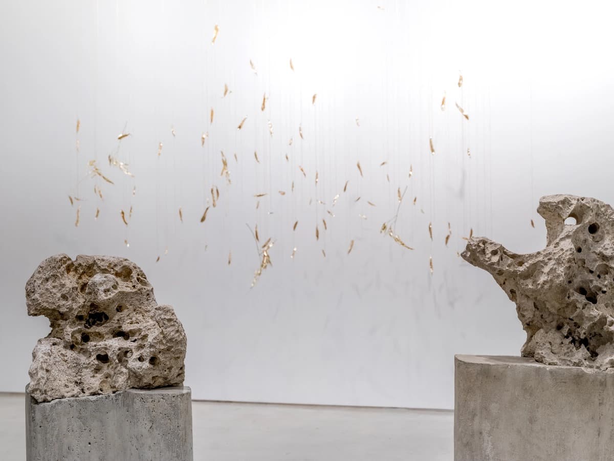 Installation view 1 of 17