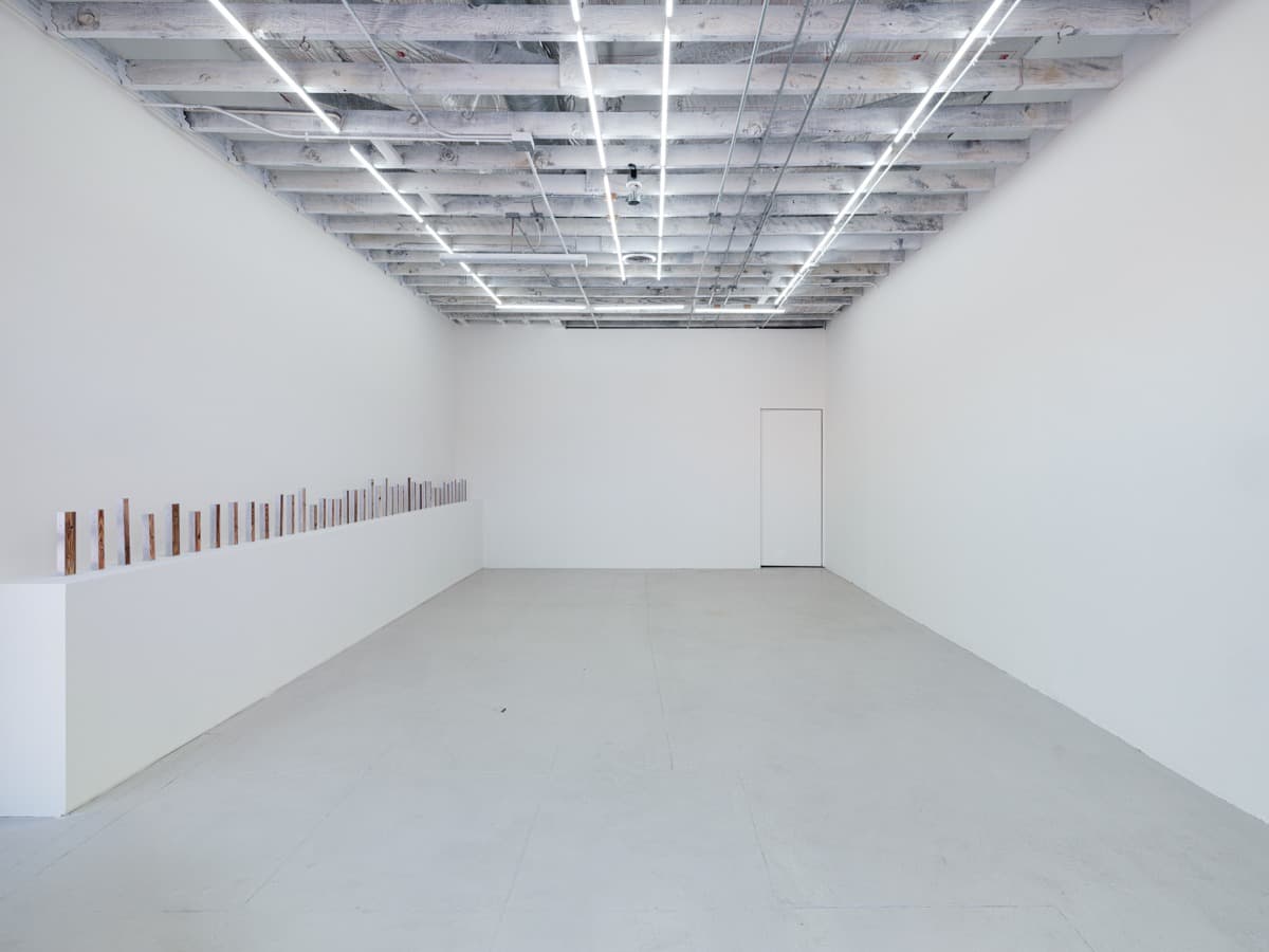 Installation view