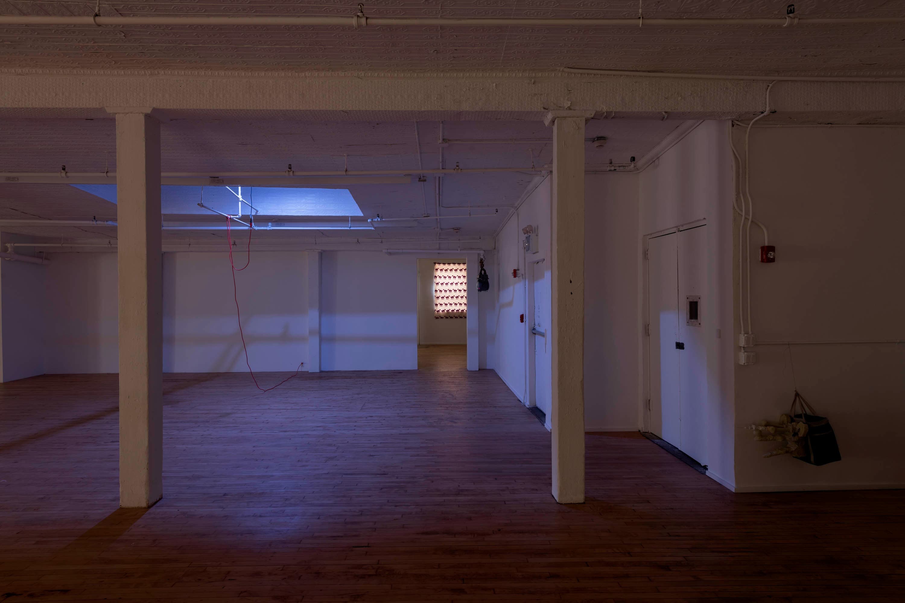 Installation view 3 of 13