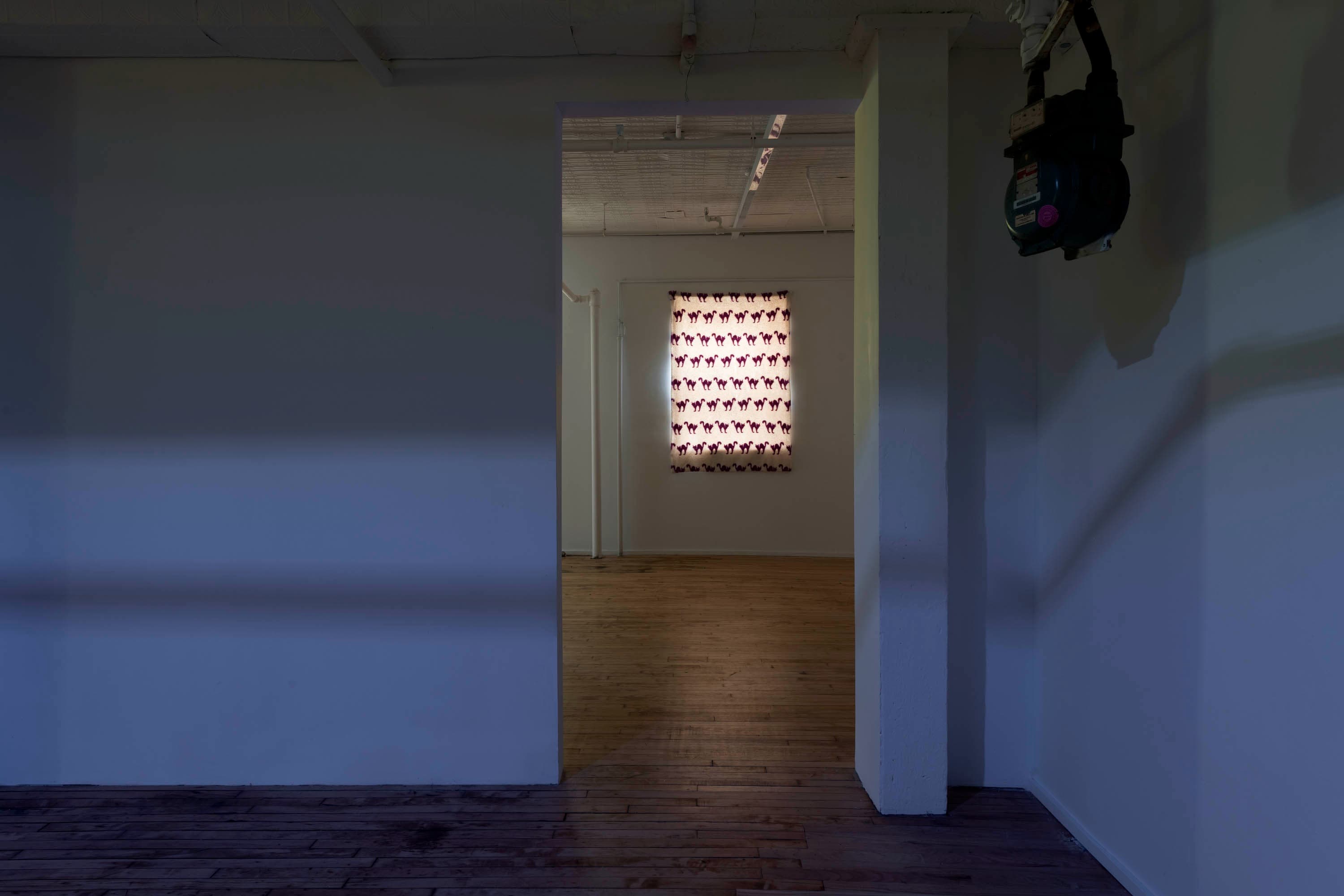 Installation view 1 of 13