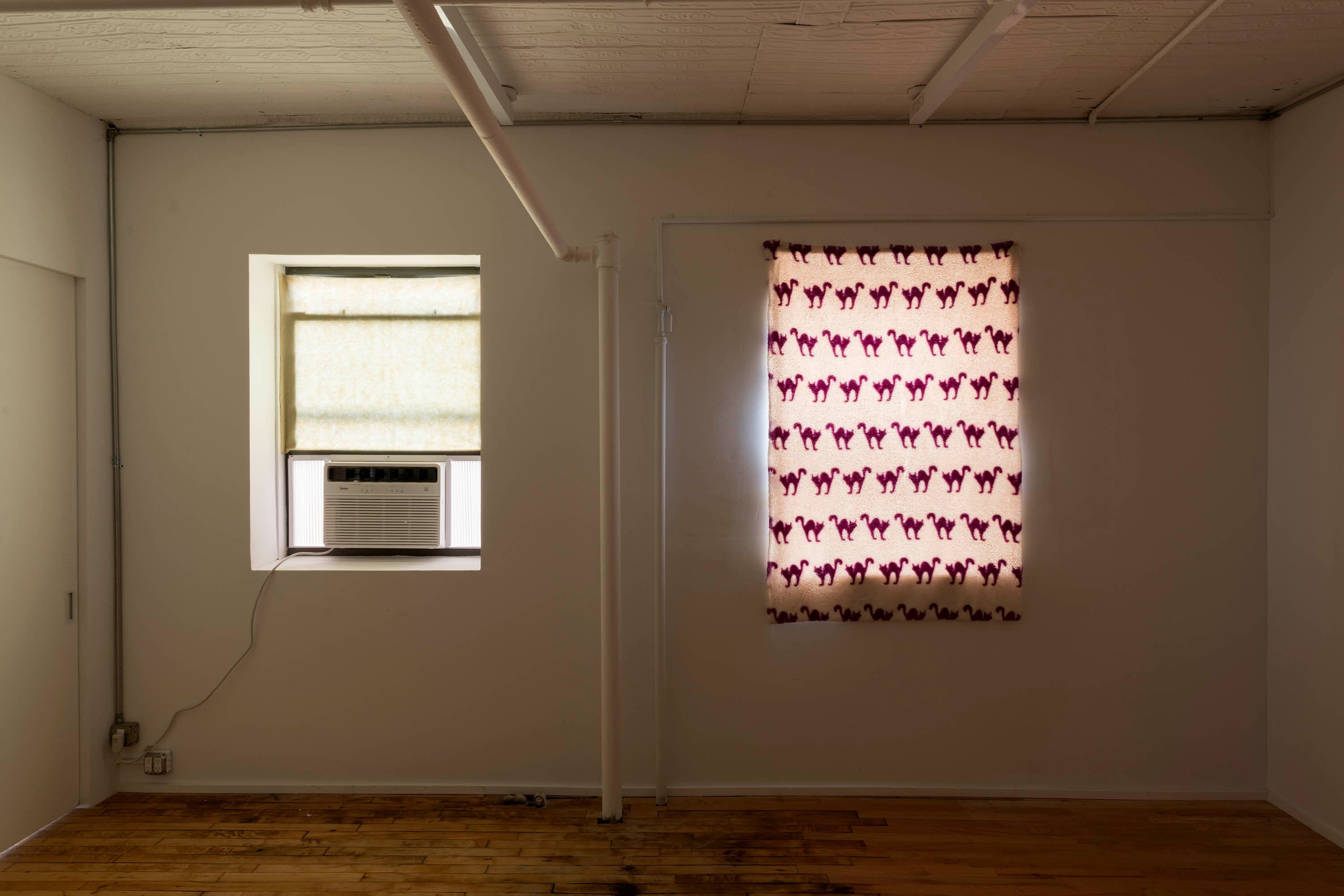 Installation view 11 of 13