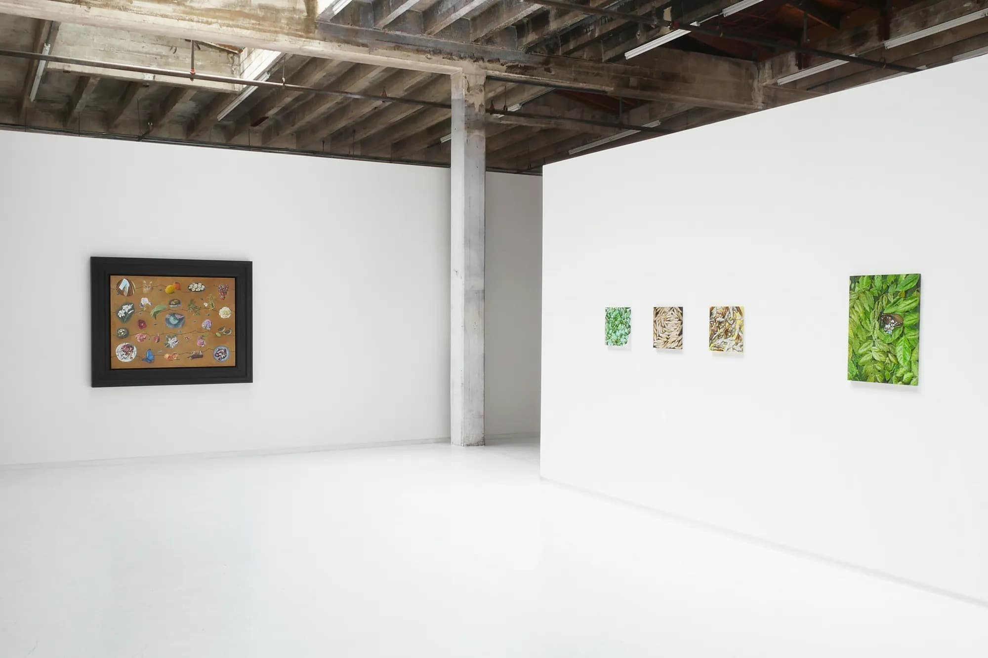 Installation view