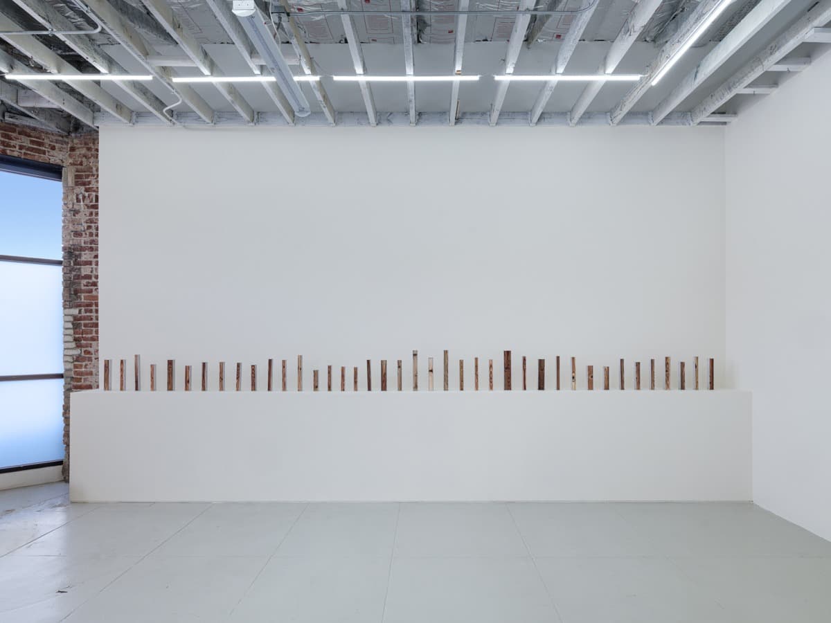 Installation view