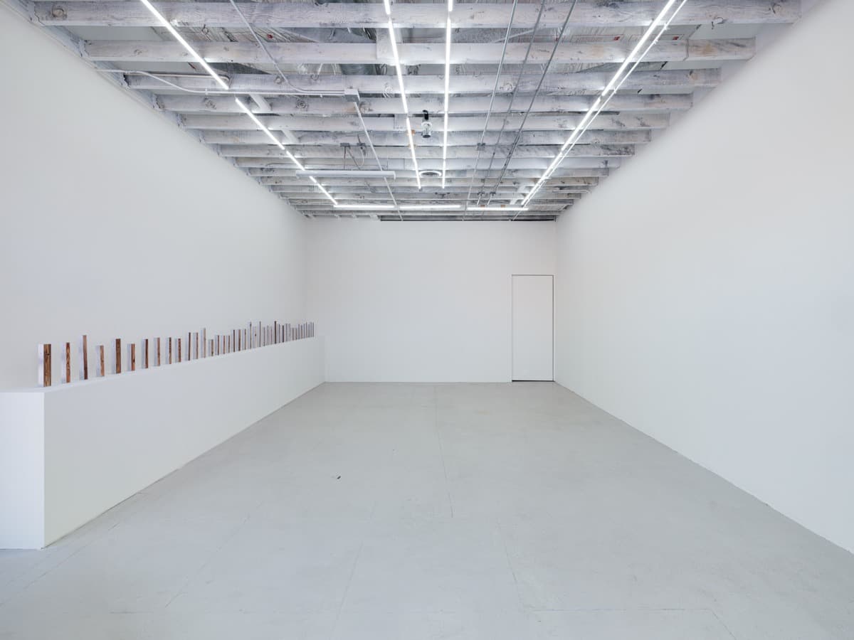 Installation view