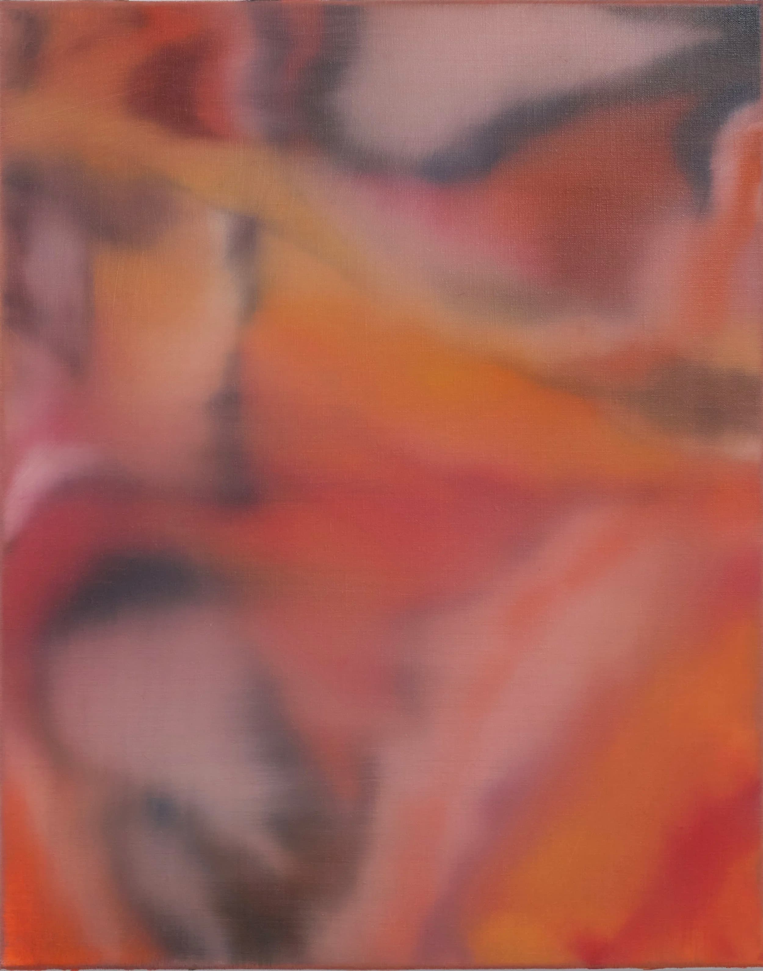 Imago