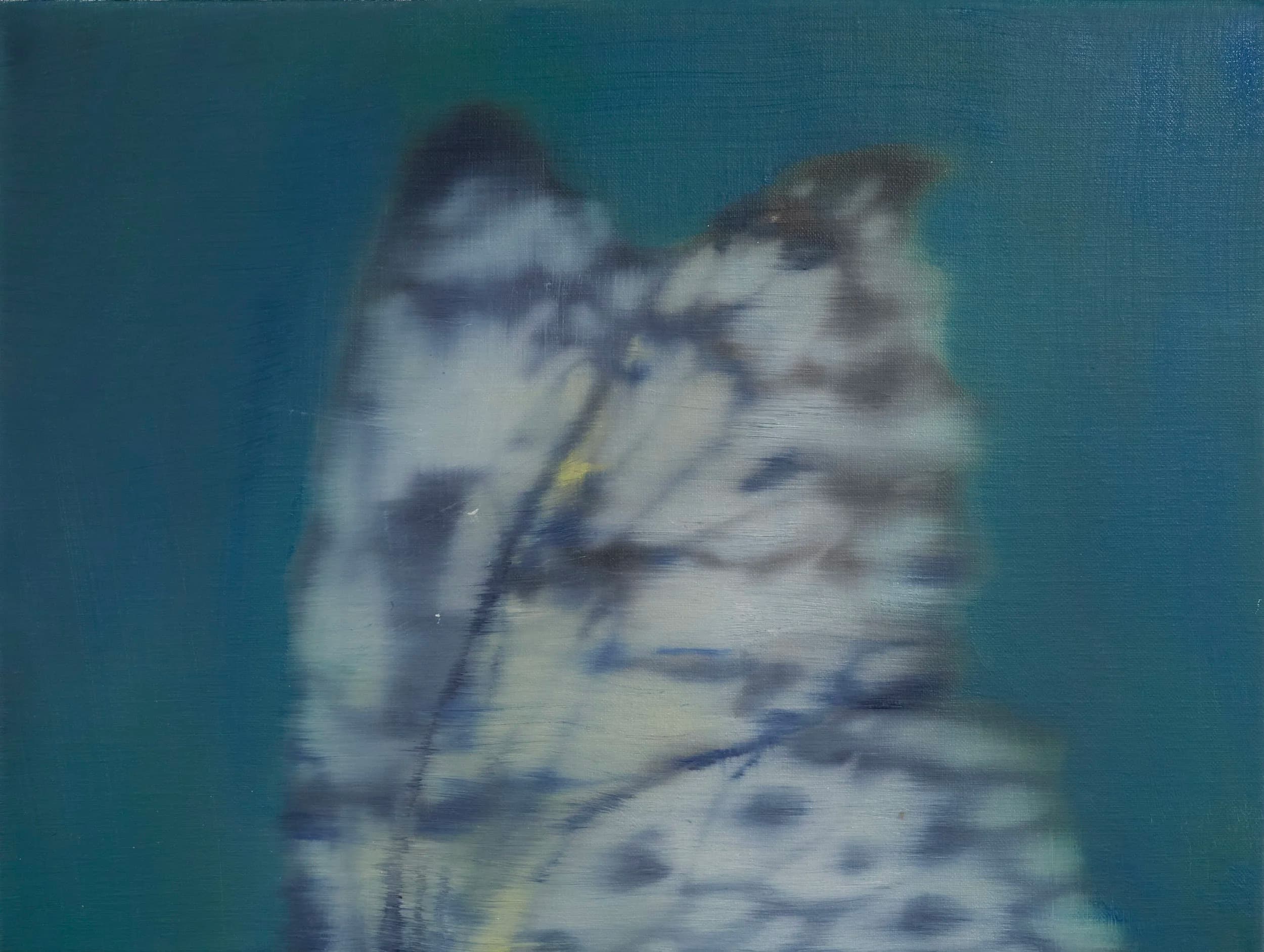 Imago