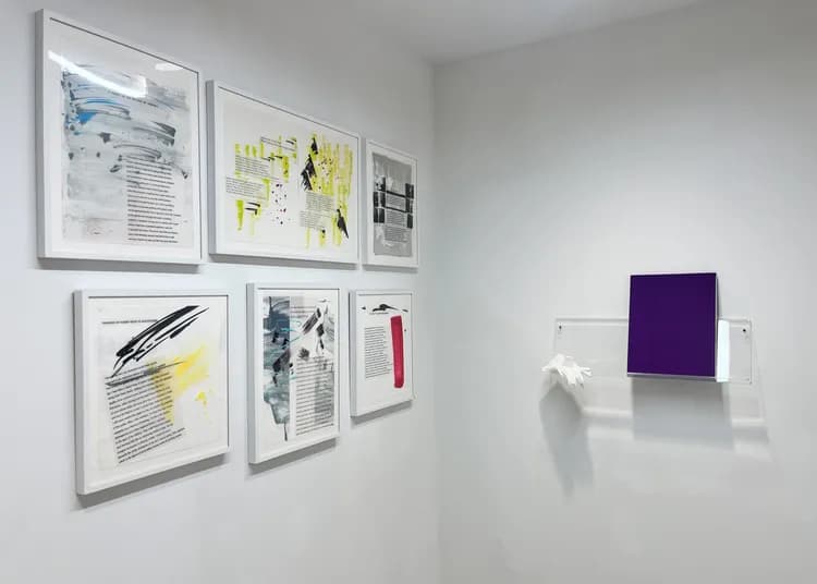 Installation view