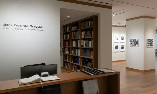 Installation view 11 of 14