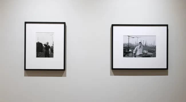 Installation view 3 of 14